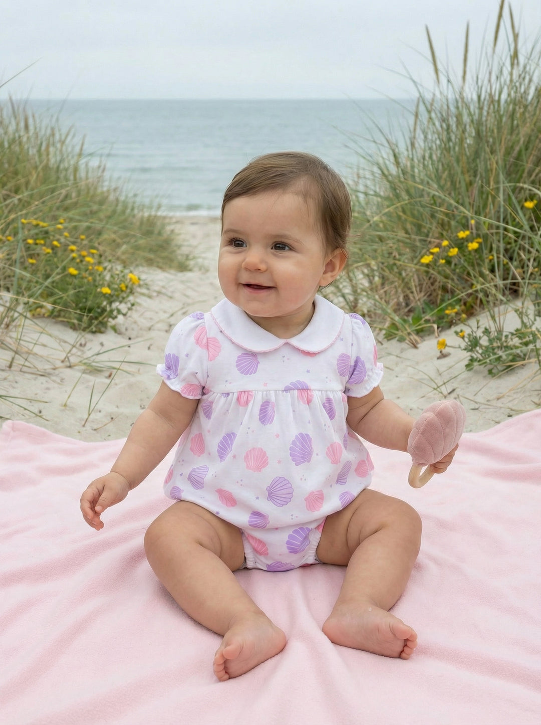 Scallop Shells Pima Bubble