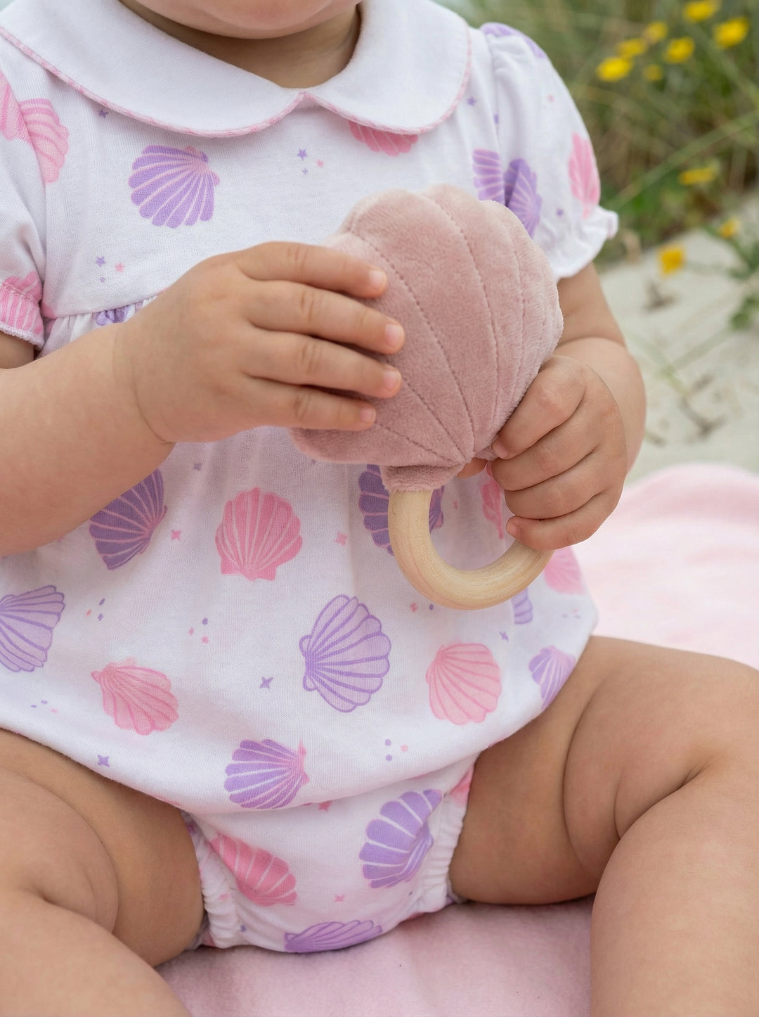 Scallop Shells Pima Bubble