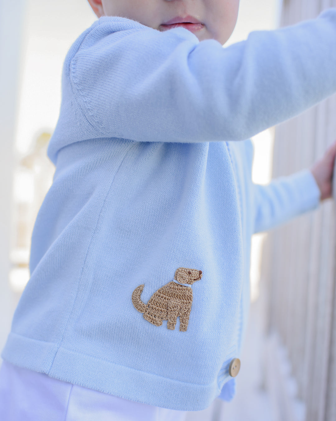 Playful Pups Cardigan-Baby Blue