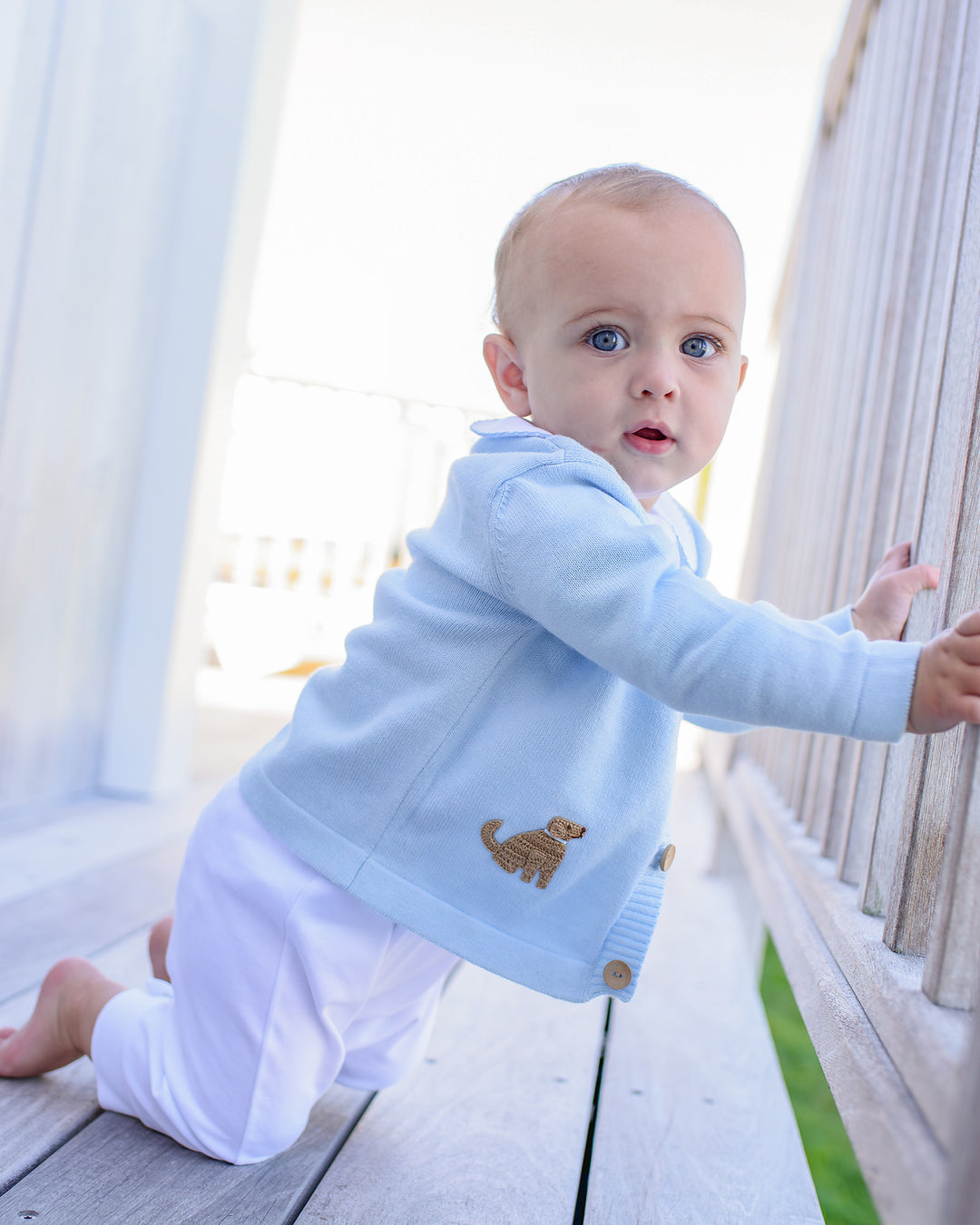 Playful Pups Cardigan-Baby Blue