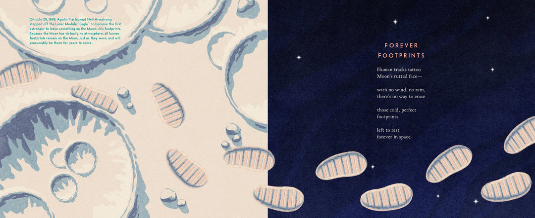 The Museum on the Moon (Children's Book)