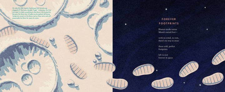 The Museum on the Moon (Children's Book)