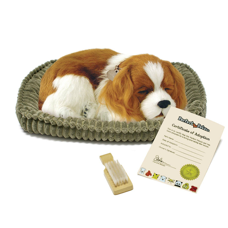 Perfect Petzzz Original - Cavalier King Charles