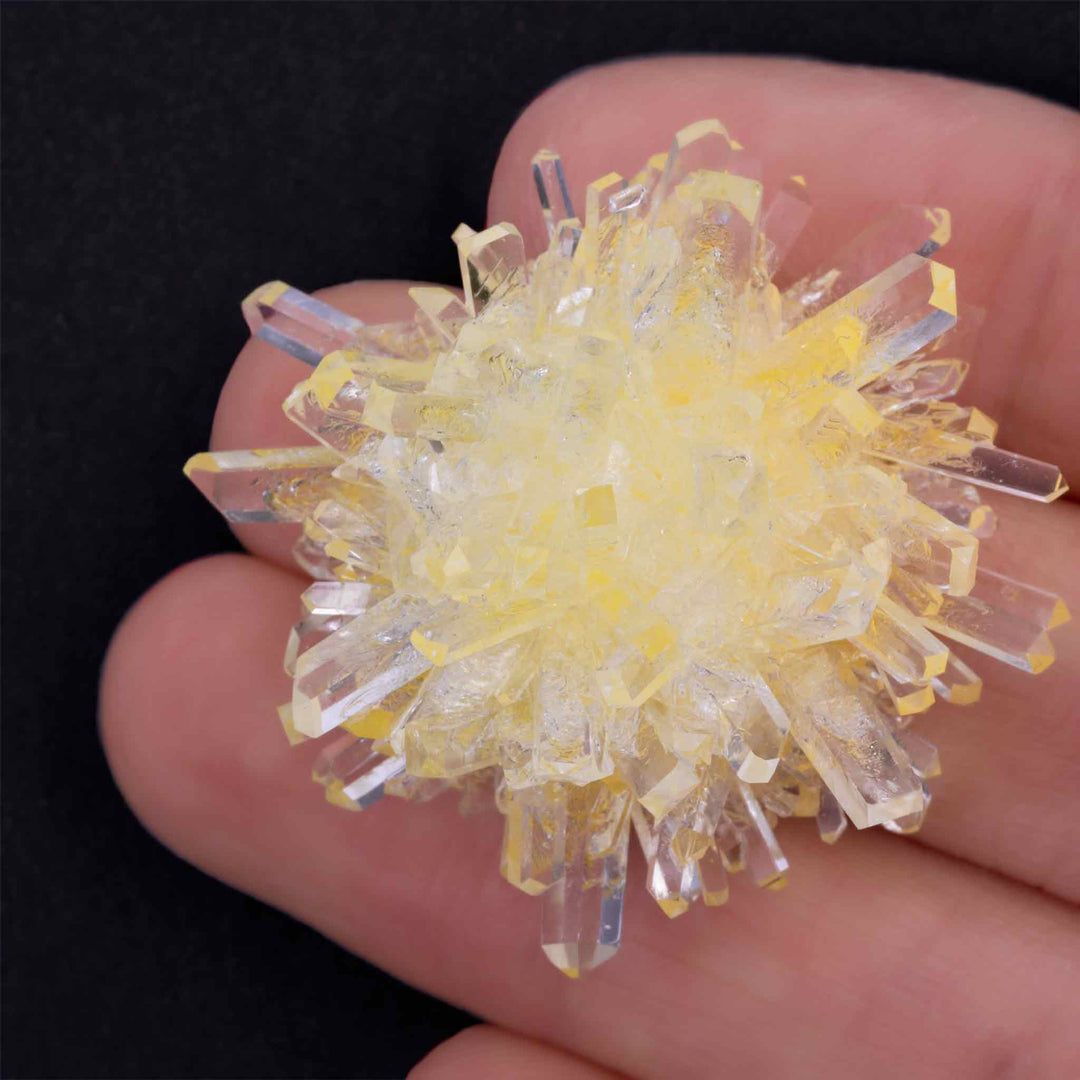 Crystal Grow and Explore