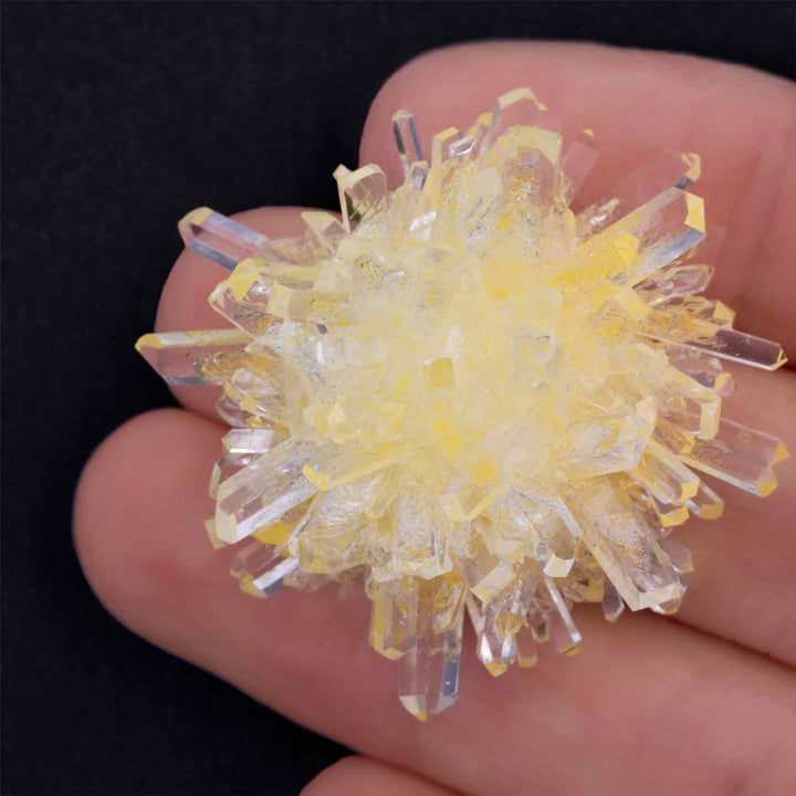 Crystal Grow and Explore