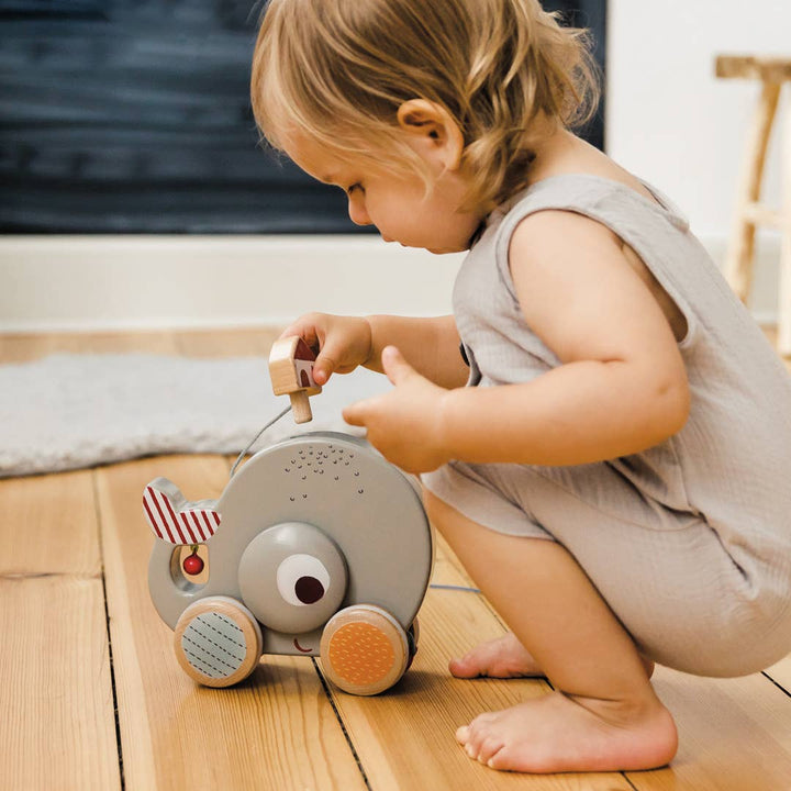 Wilma Whale Pull Along Toy [12+ Months]