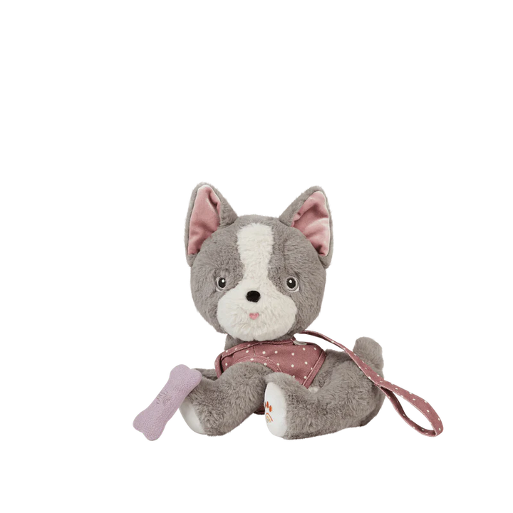 Dinkum Dogs - Gizmo / Grey