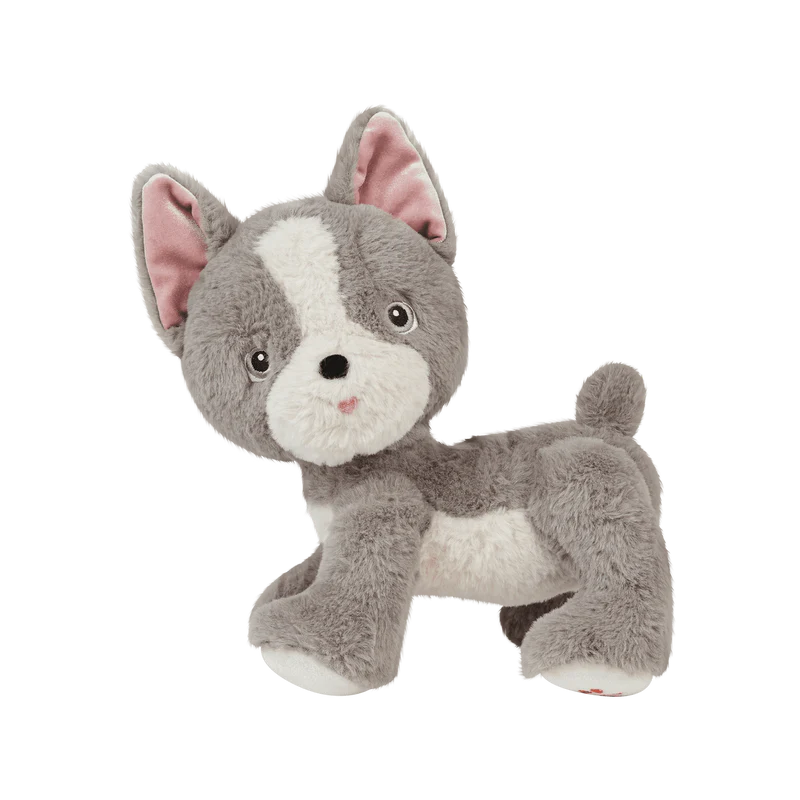 Dinkum Dogs - Gizmo / Grey