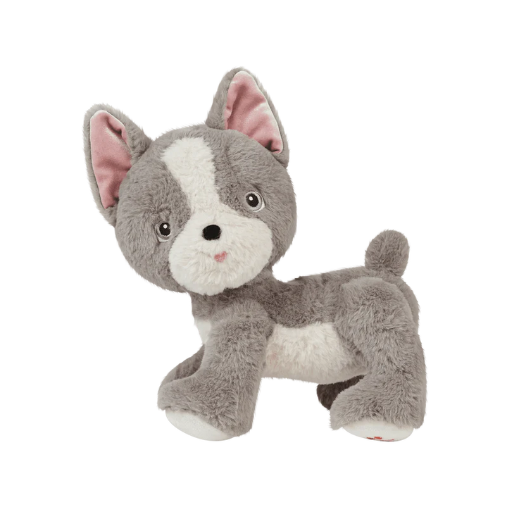 Dinkum Dogs - Gizmo / Grey