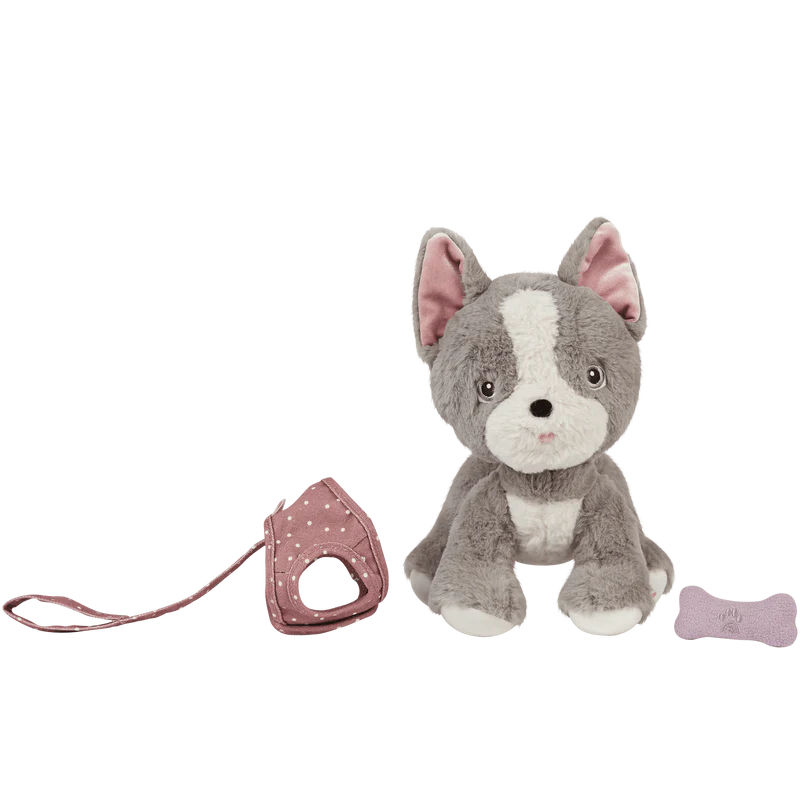 Dinkum Dogs - Gizmo / Grey