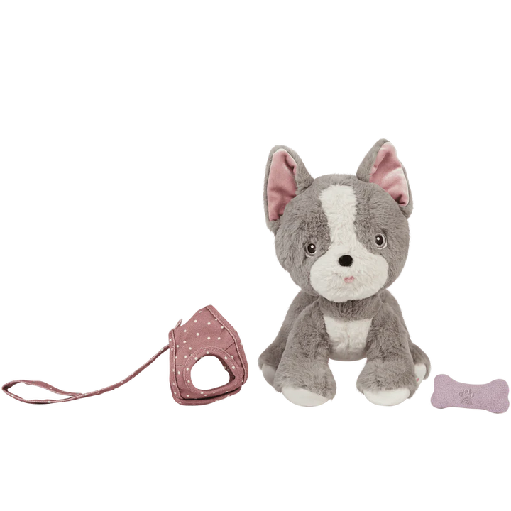 Dinkum Dogs - Gizmo / Grey