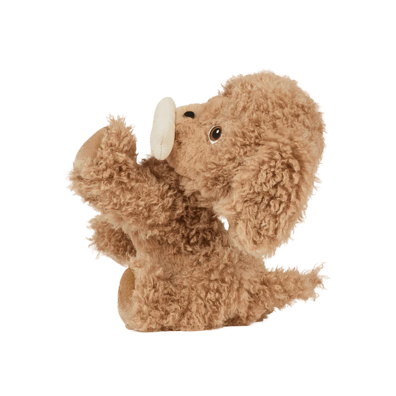 Dinkum Dogs - Goldie / Gold