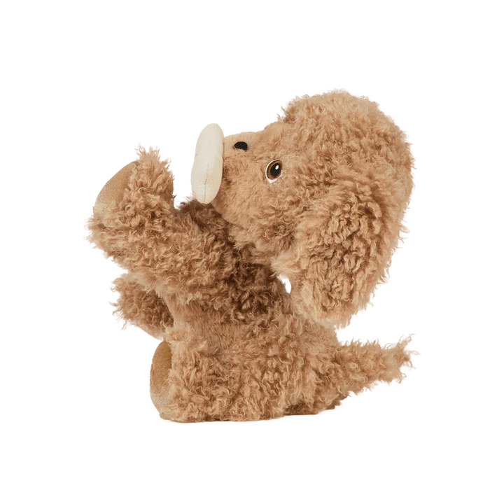 Dinkum Dogs - Goldie / Gold