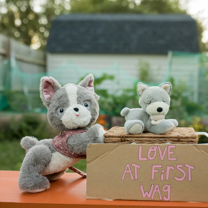 Dinkum Dogs - Gizmo / Grey