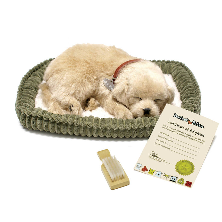 02Original - Golden Retriever