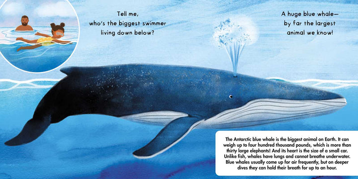 Tell Me About Oceans by Lisa Varchol Perron