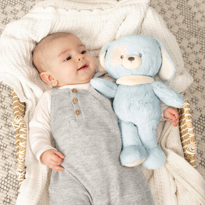 GUND 100% Recycled Puppy, Blue, 13 in