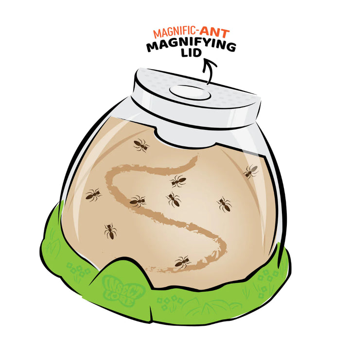 Ant Hill™ with Prepaid Voucher for Live Ants
