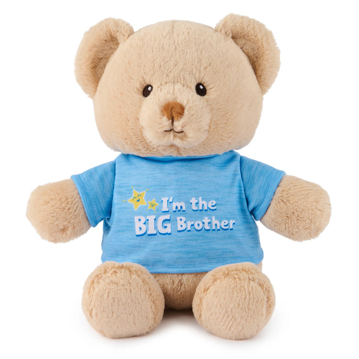 I'm the Big Brother Bear, Blue
