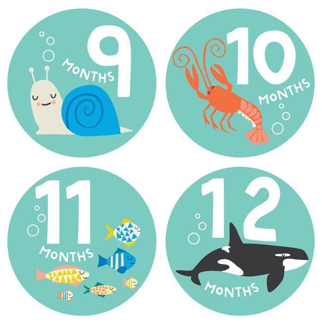 Snorkeling Adventure Sticker Set