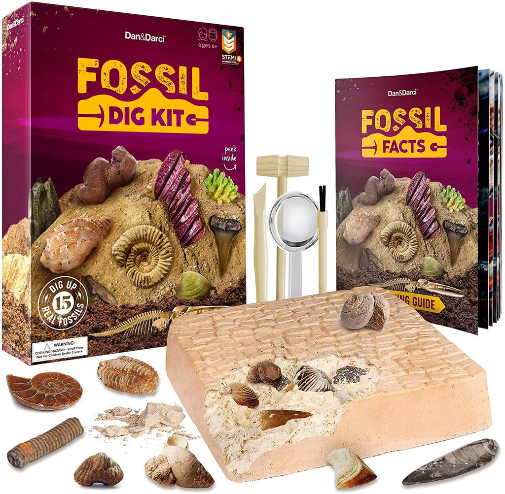 Mega Fossil Dig Kit