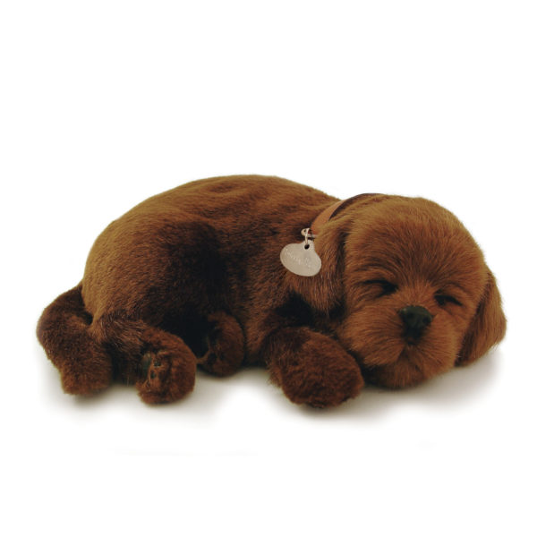 Perfect Petzzz Original - Chocolate Lab