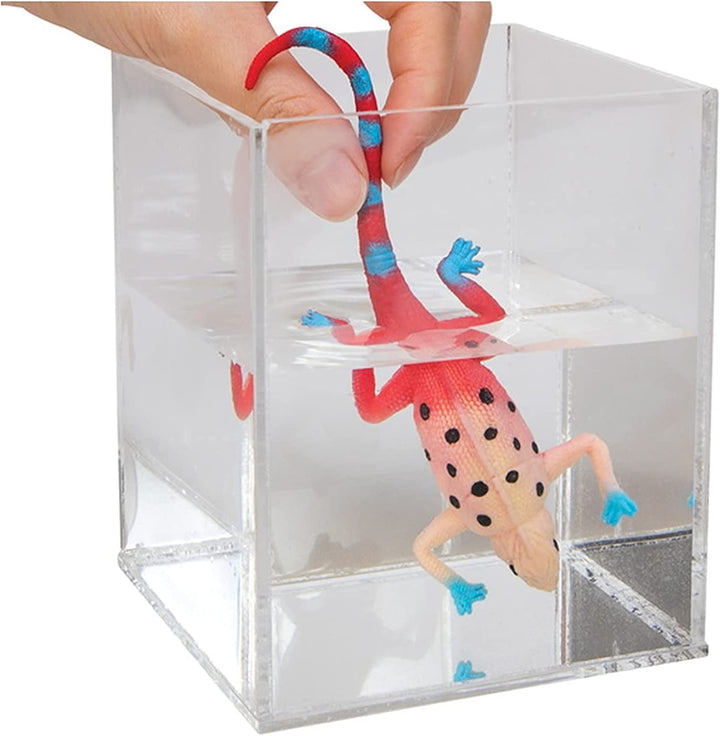Schylling Color Changing Revealeons