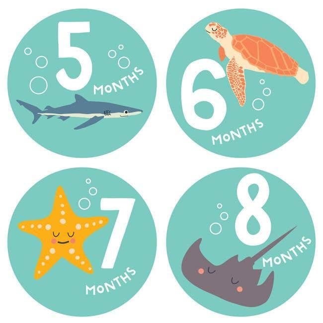 Snorkeling Adventure Sticker Set