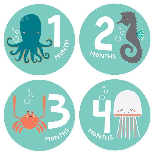Snorkeling Adventure Sticker Set