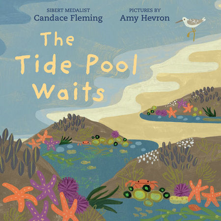 The Tide Pool Waits-Hardcover Book