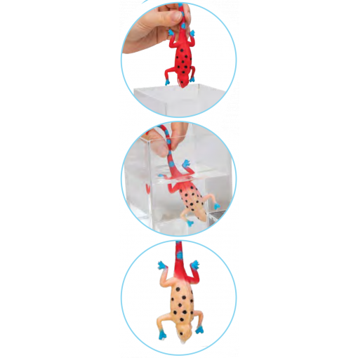 Schylling Color Changing Revealeons
