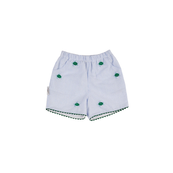 Sea Turtle Seersucker Shorts (Girls)