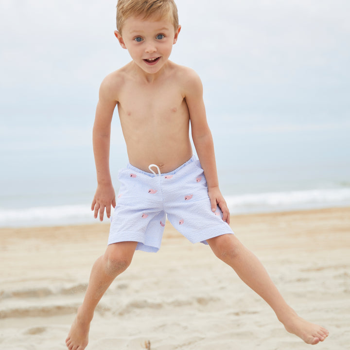 Whale Watch Swim Trunks