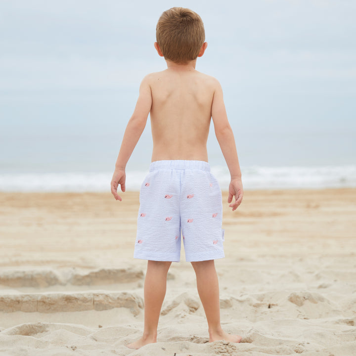 Whale Watch Swim Trunks