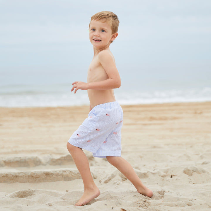 Whale Watch Swim Trunks
