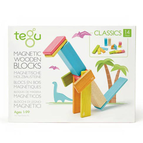 14 Piece Magnetic Wooden Block Set-Tints