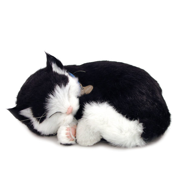 Perfect Petzzz Original Black & White Kitten